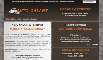 AlejaBiznesu.pl - Strony Internetowe Rzeszów: Projektowanie, Wdrożenia, Hosting